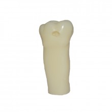 Dente para manequim Materiais Dentários - 46 - Classe 1 na Fase Oclusal- Pronew *