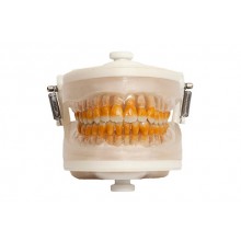 Pronew Top - Periodontia I - Pronew